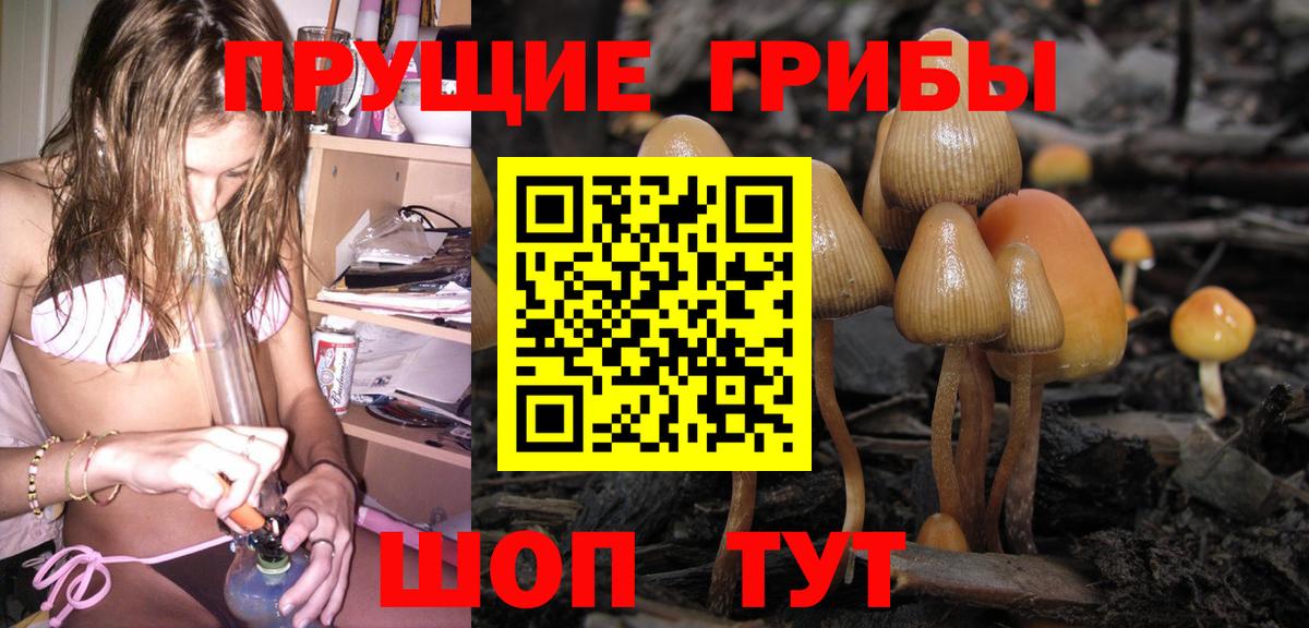 Псилоцибиновые грибы мухоморы Обь