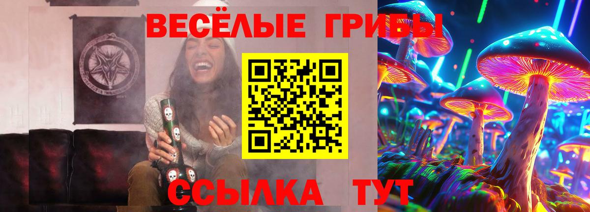 Галлюциногенные грибы Psilocybine cubensis  Псилоцибиновые грибы Psilocybe  Обь  Вход с VPN 